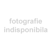 Click pentru a mari poza